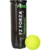 FZ FORZA PADEL PREMIUM BALL