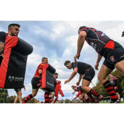 Single Wedge Hit Shield