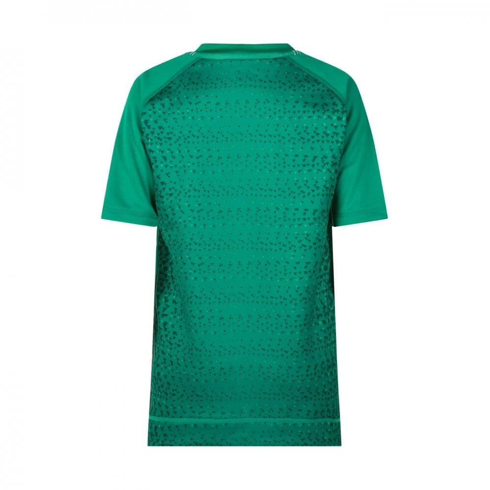 Canterbury CCC Ireland IRFU Vapodri S/S Home Rugby Shirt Kids Green 2 Canterbury CCC Ireland IRFU Vapodri S/S Home Rugby Shirt Kids Green - Image 2