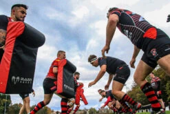 Single Wedge Hit Shield