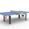 Butterfly Park Table Tennis Table