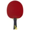 Tibhar Master Yellow Edition Table Tennis Bat (Flared)